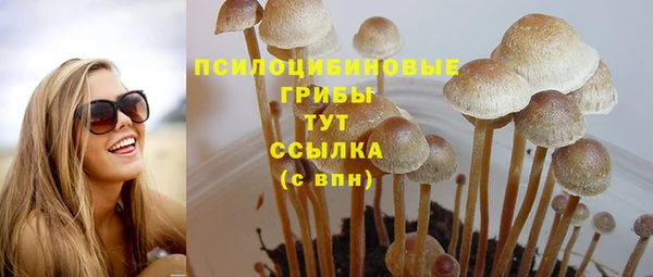 ешки Абаза