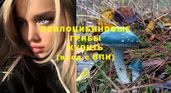 ешки Абаза