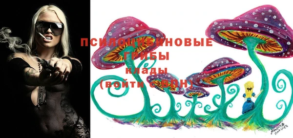 ешки Абаза