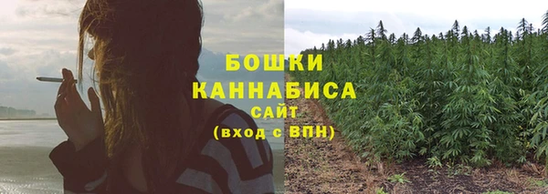 спайс Рославль