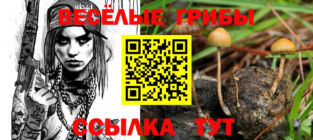 Нягань  Псилоцибиновые грибы MAGIC MUSHROOMS  Вход с VPN  Галлюциногенные грибы Magic Shrooms 